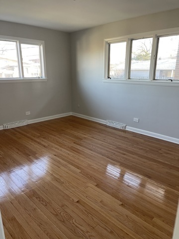 9113 South Constance Avenue Chicago IL 60617