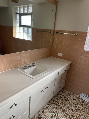 9113 South Constance Avenue Chicago IL 60617