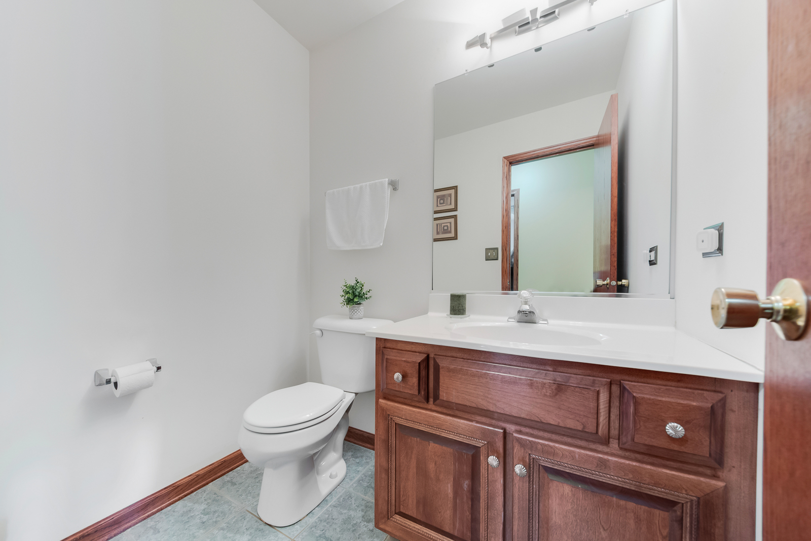 1629 Chauser Lane Woodridge IL 60517