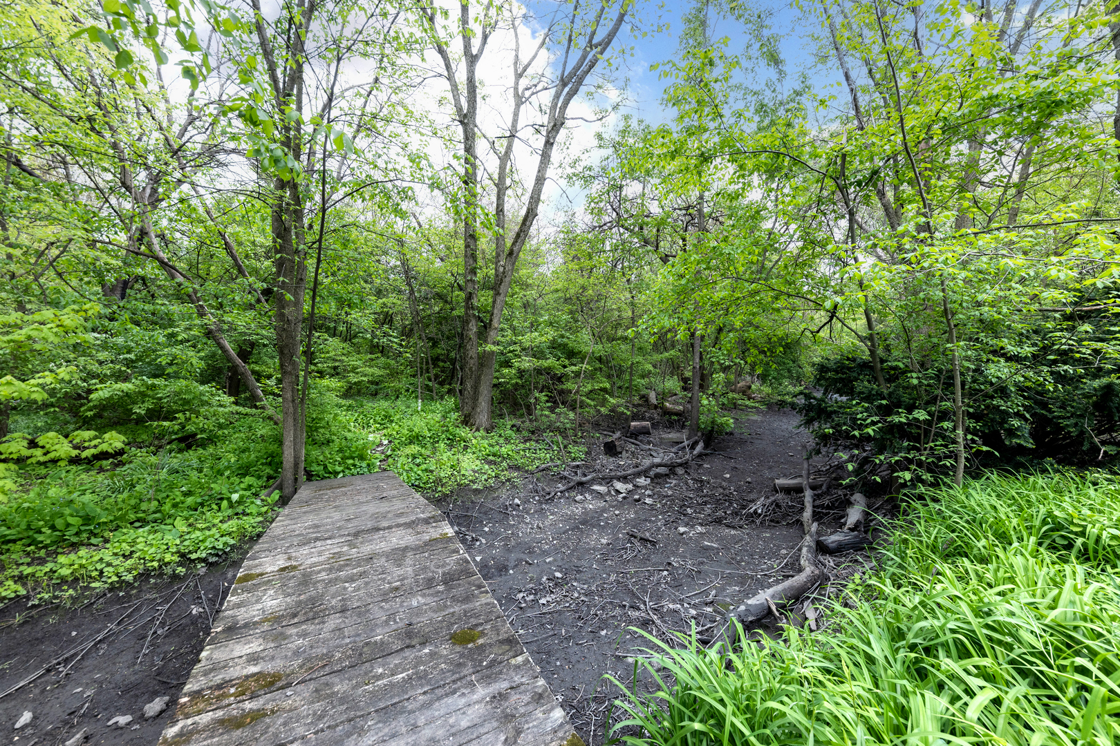 5419 Grand Avenue Downers Grove IL 60515