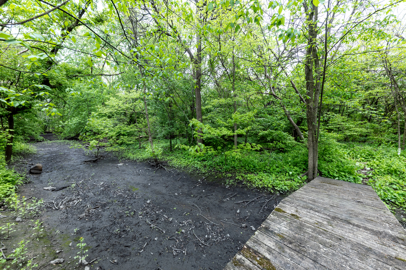 5419 Grand Avenue Downers Grove IL 60515