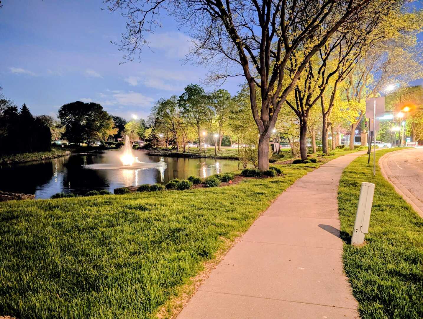 204 Bright Ridge Drive Schaumburg IL 60194