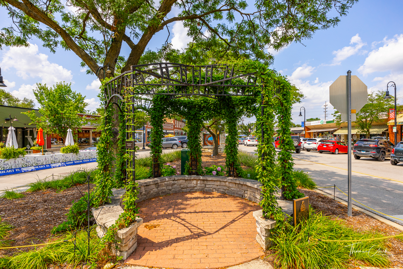 423 Park Avenue Clarendon Hills IL 60514