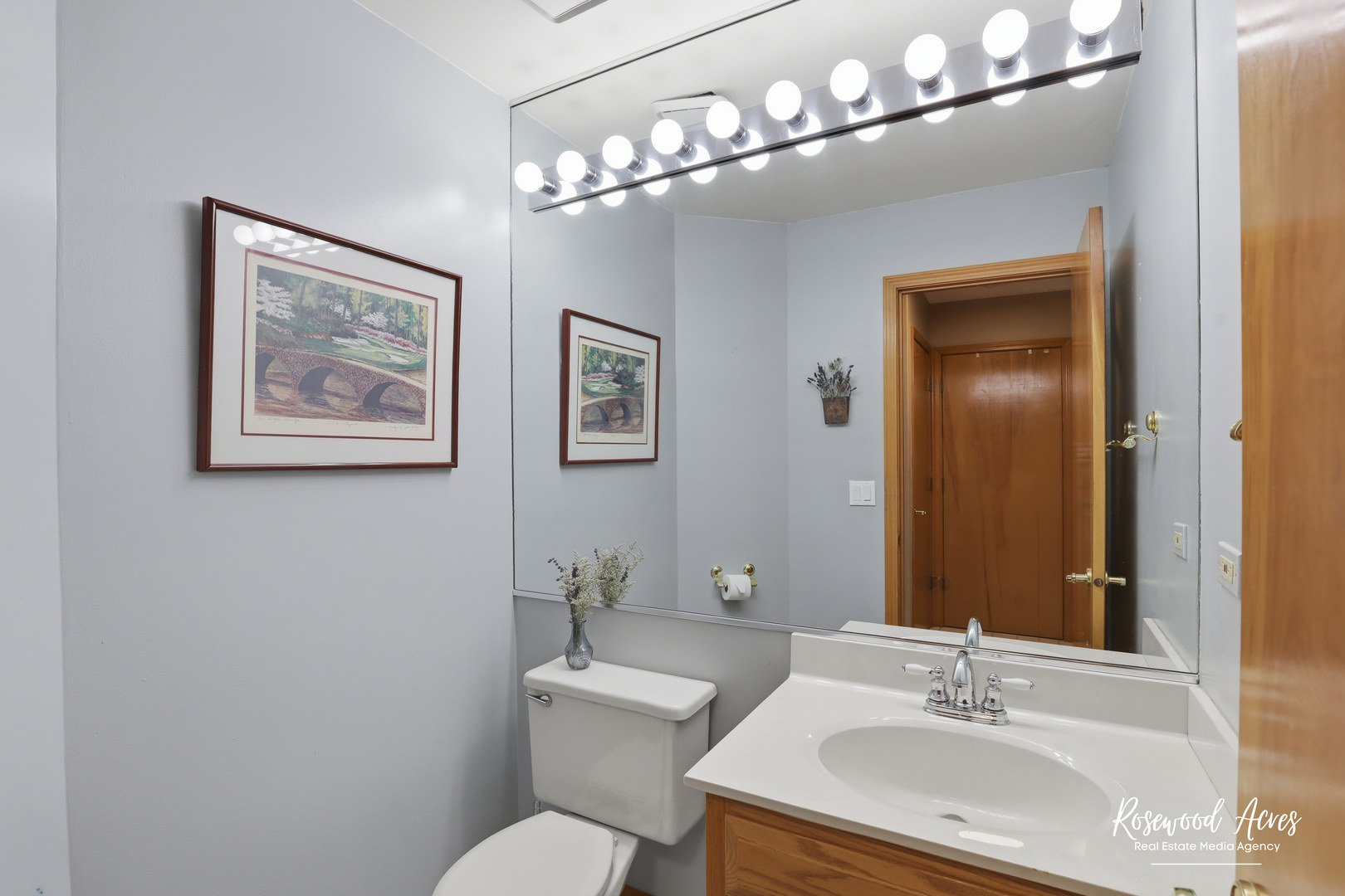 13802 S Quail Run Drive Plainfield IL 60544
