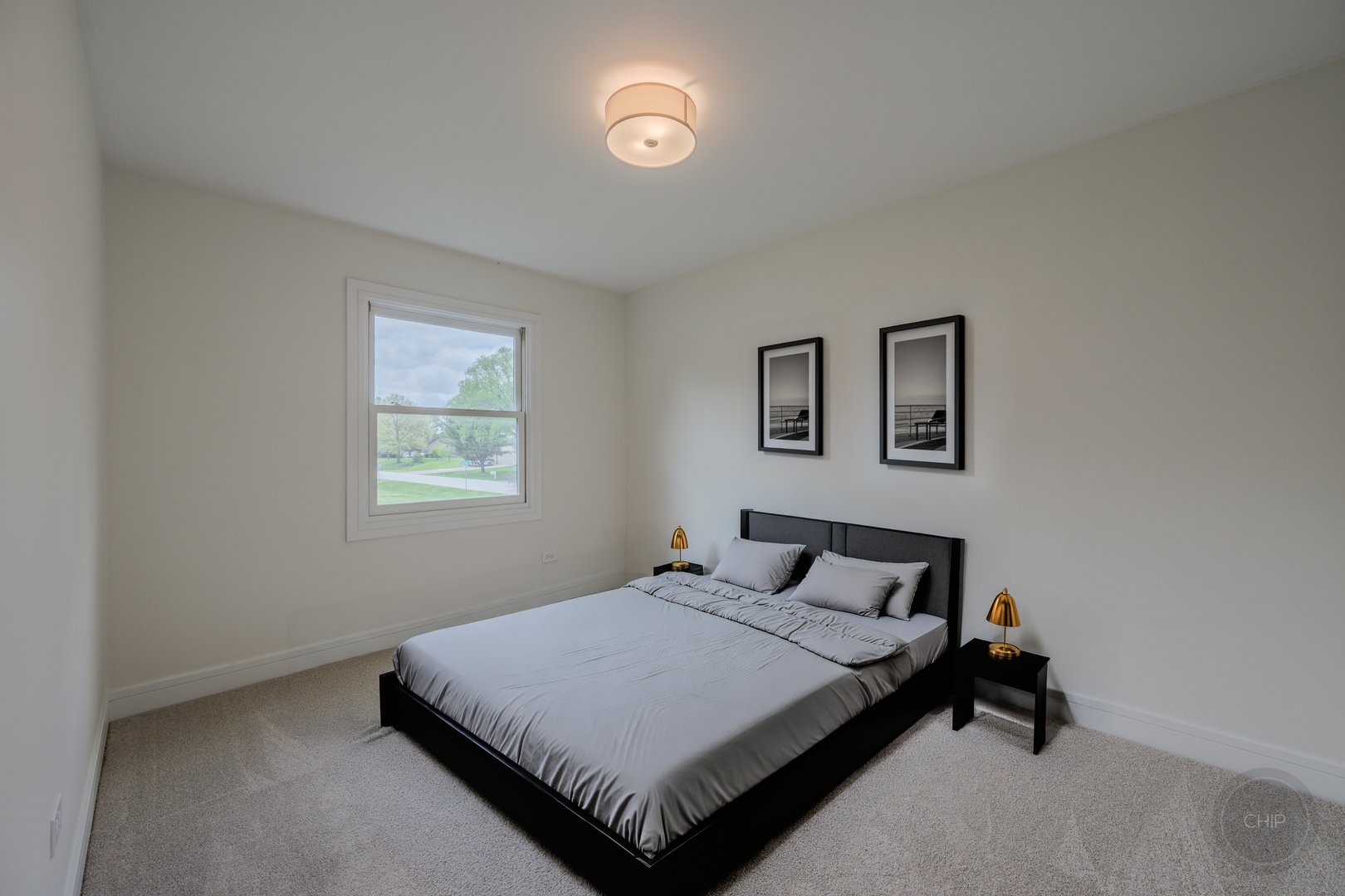 24340 Davids Court Naperville IL 60564