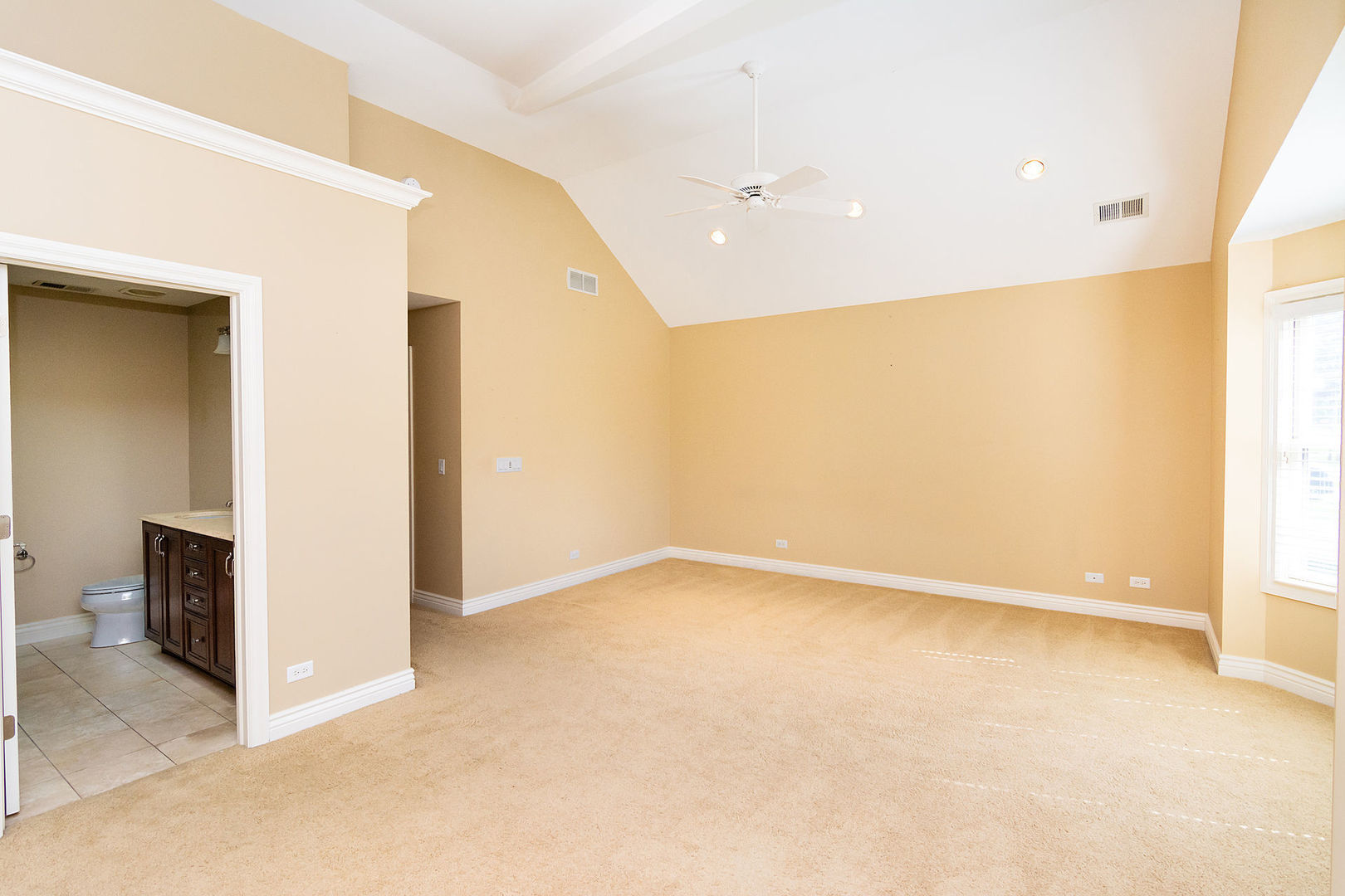 342 Maple Avenue Downers Grove IL 60515