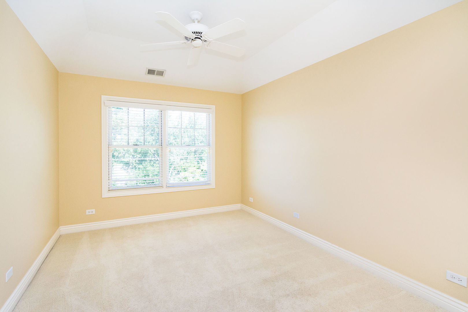 342 Maple Avenue Downers Grove IL 60515