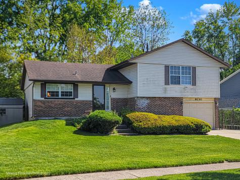 8161 West Orchard Drive Frankfort IL 60423