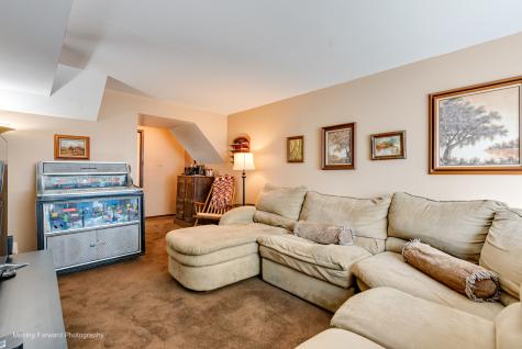 8161 West Orchard Drive Frankfort IL 60423