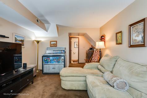 8161 West Orchard Drive Frankfort IL 60423