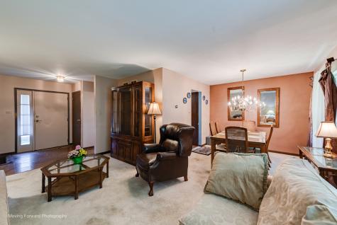 8161 West Orchard Drive Frankfort IL 60423
