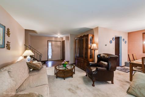 8161 West Orchard Drive Frankfort IL 60423