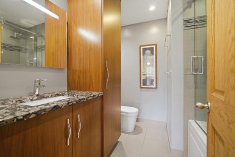 12 Turnbull Woods Court Highland Park IL 60035