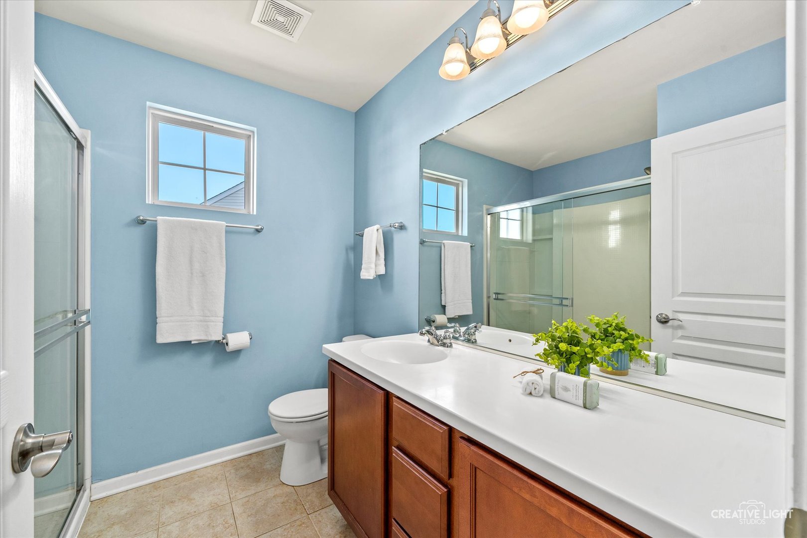 4319 Silver Bell Court Naperville IL 60564