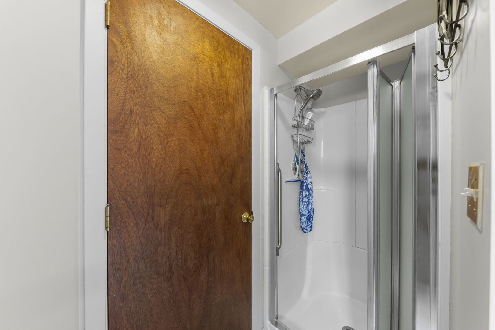 256 South Ellyn Avenue Glen Ellyn IL 60137