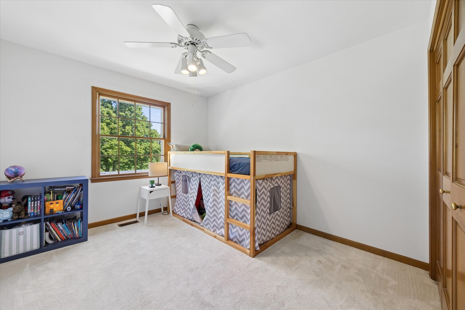 381 Prairie Knoll Drive Naperville IL 60565
