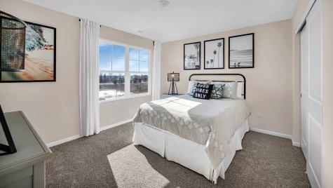 1232 Wildflower Lane Bartlett IL 60103