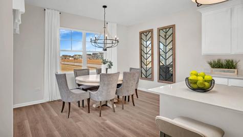 1232 Wildflower Lane Bartlett IL 60103