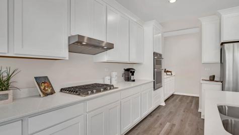 1232 Wildflower Lane Bartlett IL 60103