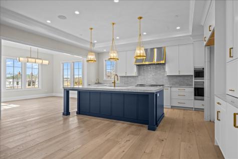 230 Majestic Oak Court Lake Forest IL 60045