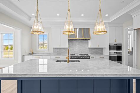230 Majestic Oak Court Lake Forest IL 60045