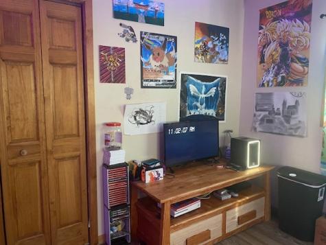 7 Clearwater Point Putnam IL 61560
