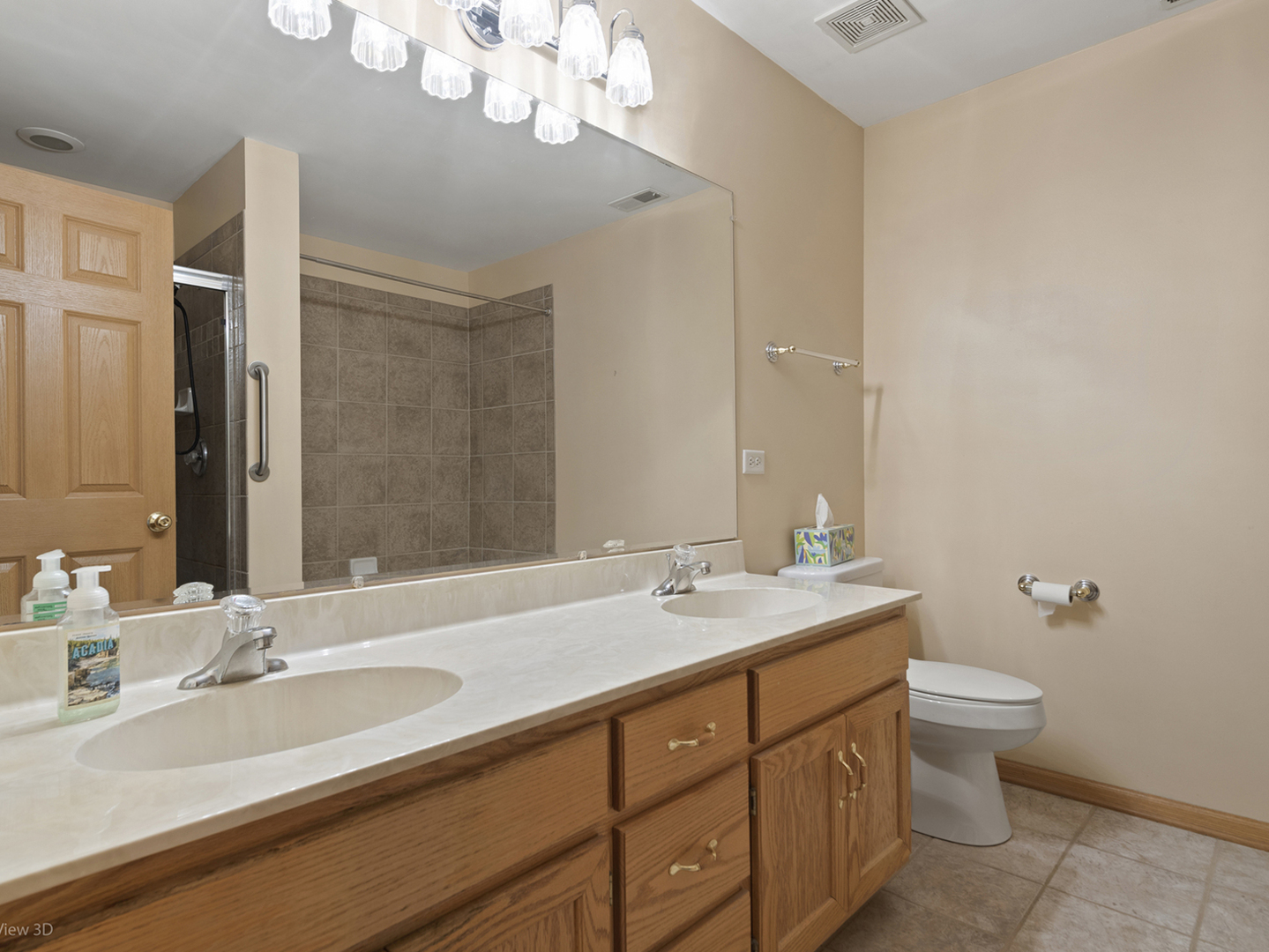 10802 Canterbury Drive Mokena IL 60448