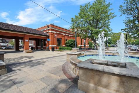 4814 Bryan Place Downers Grove IL 60515