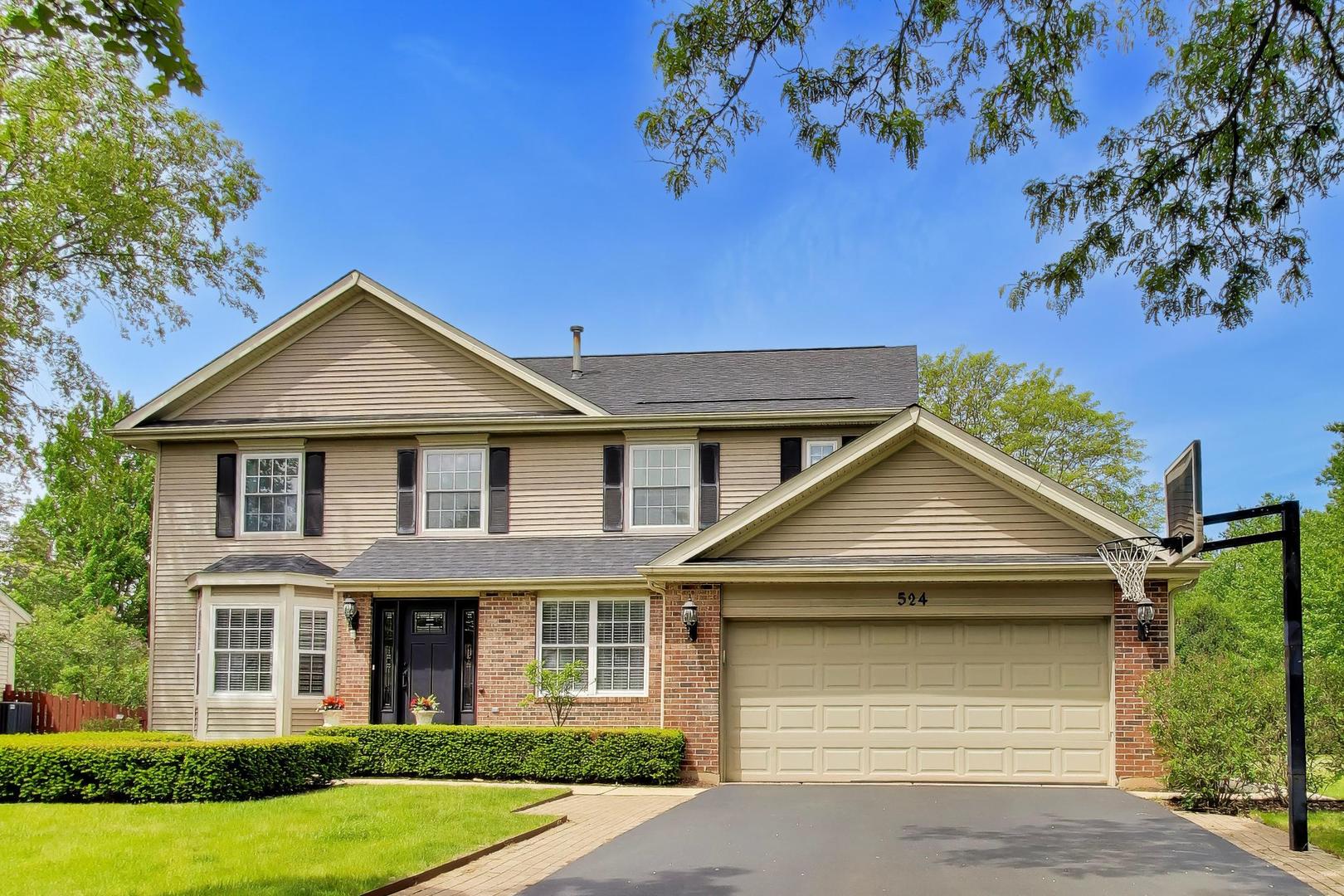 524 Edinburgh Lane West Dundee IL 60118