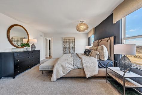 516 Golden Star Drive Bolingbrook IL 60490