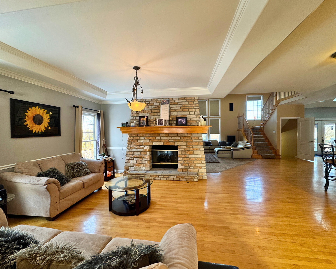 3805 Gladstone Drive Naperville IL 60565