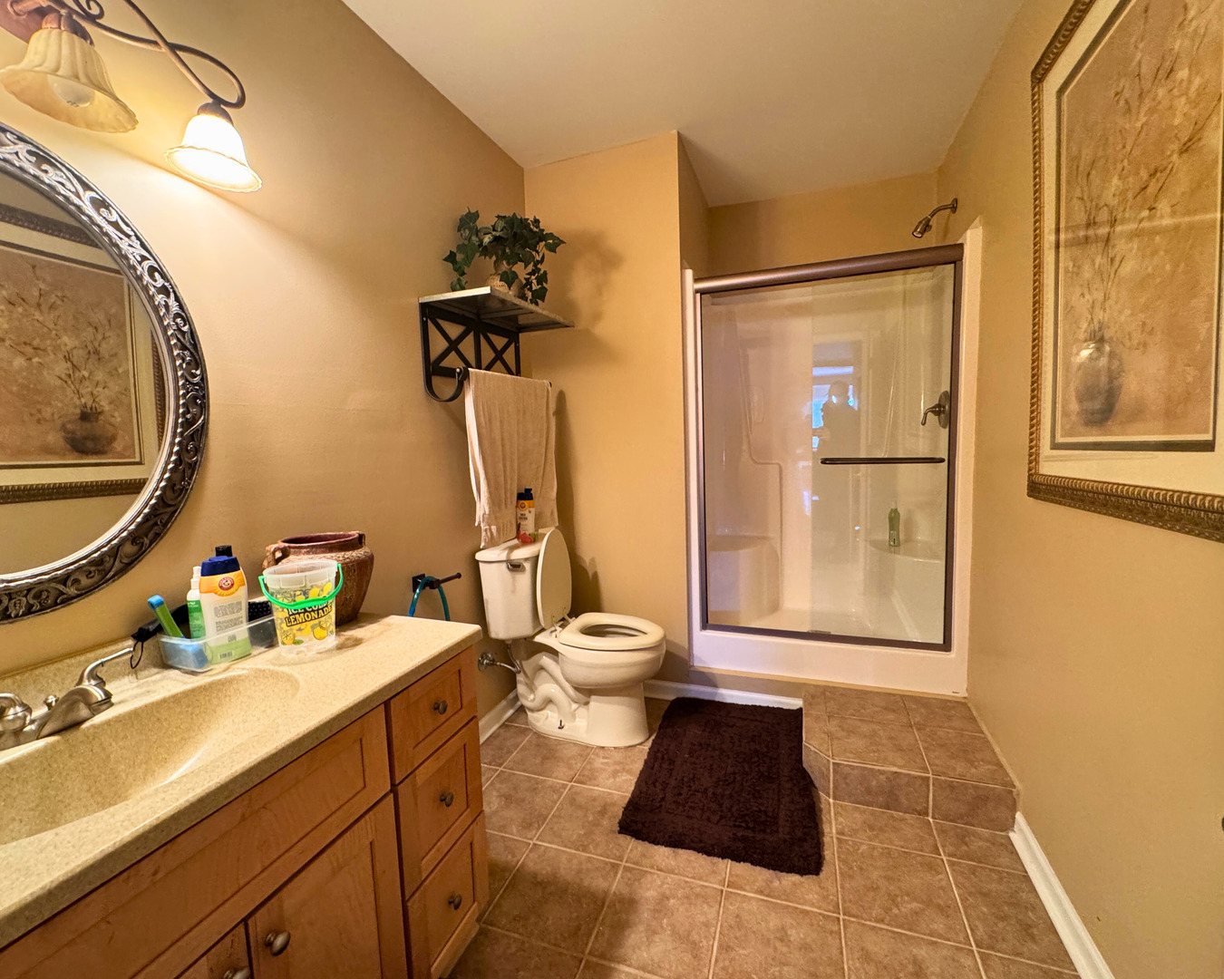 3805 Gladstone Drive Naperville IL 60565