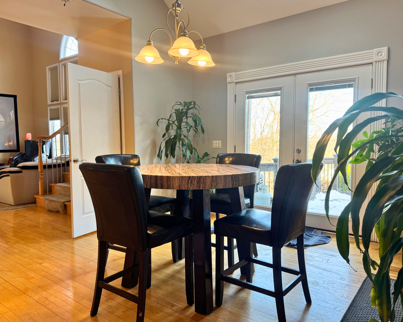 3805 Gladstone Drive Naperville IL 60565