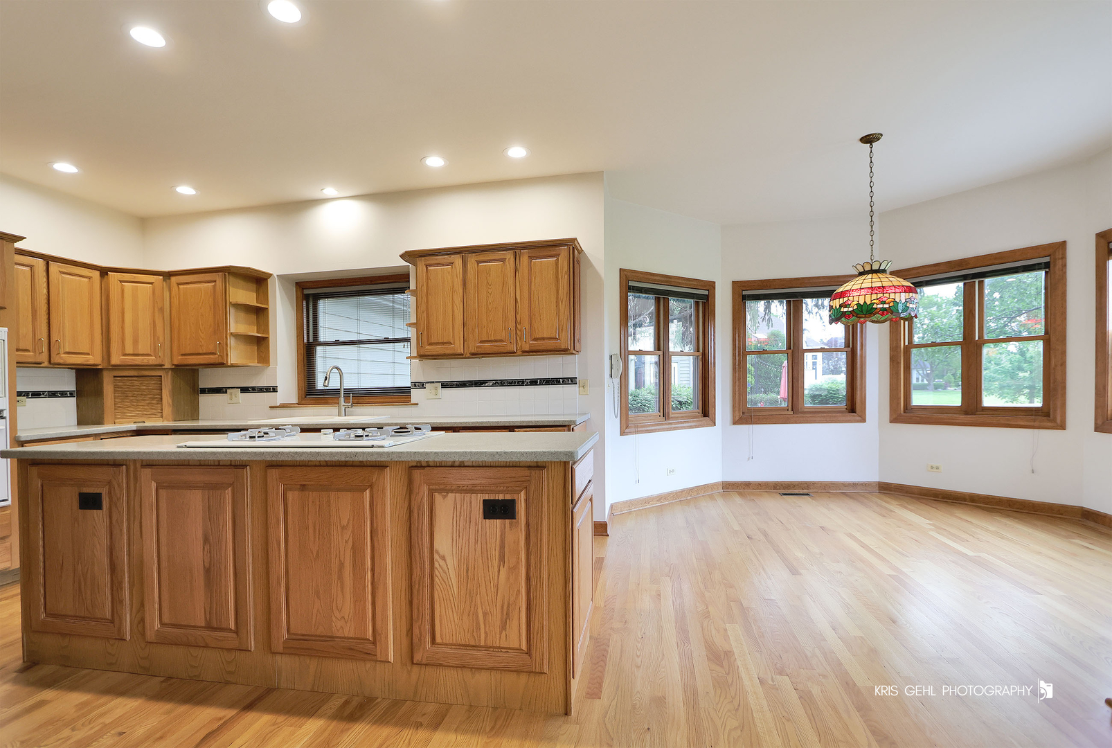 1127 Courtland Place Aurora IL 60502