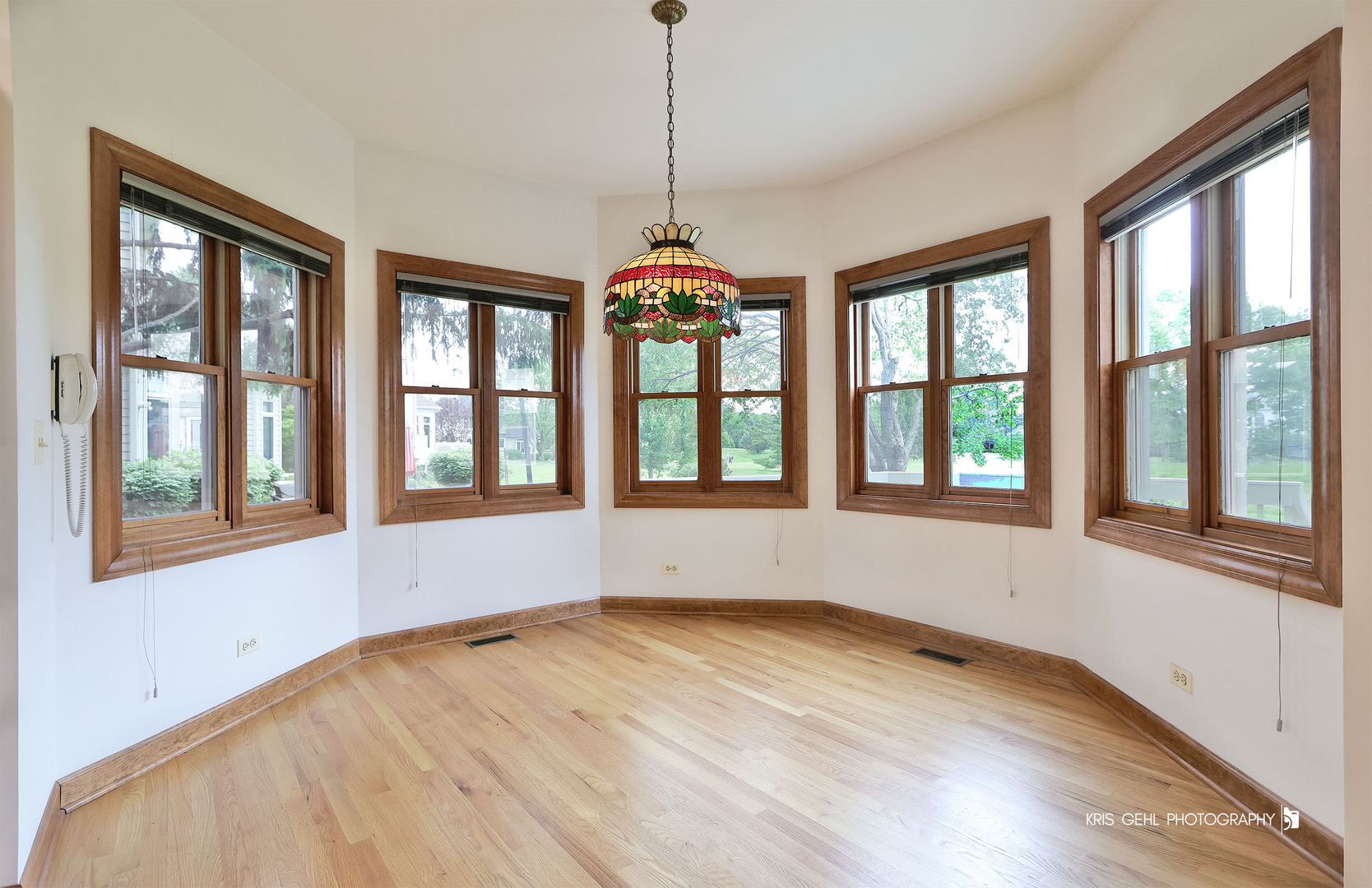 1127 Courtland Place Aurora IL 60502