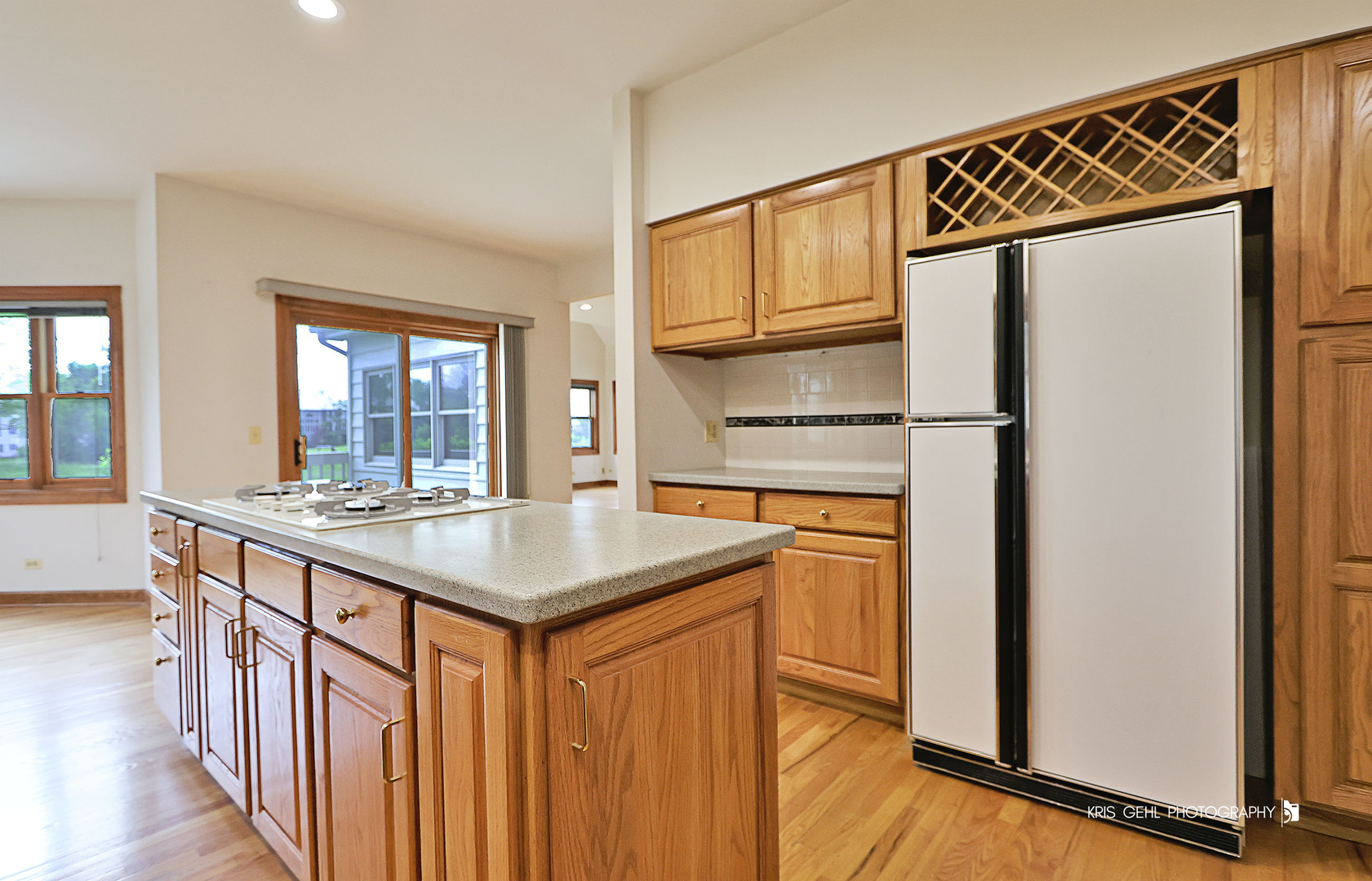 1127 Courtland Place Aurora IL 60502
