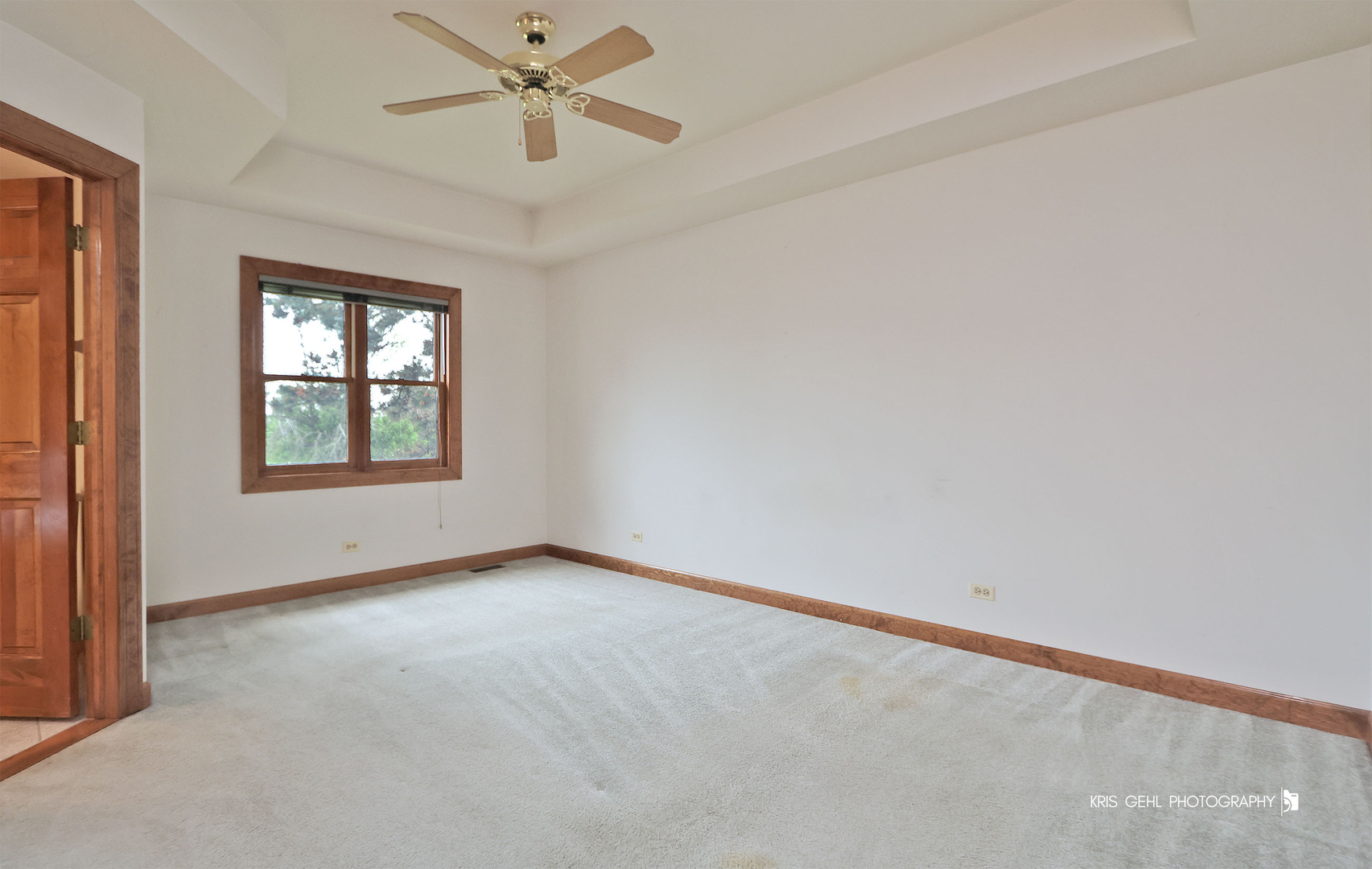 1127 Courtland Place Aurora IL 60502