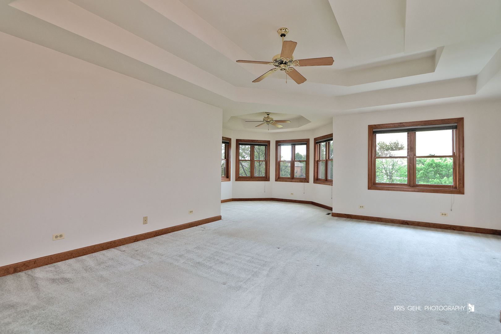 1127 Courtland Place Aurora IL 60502