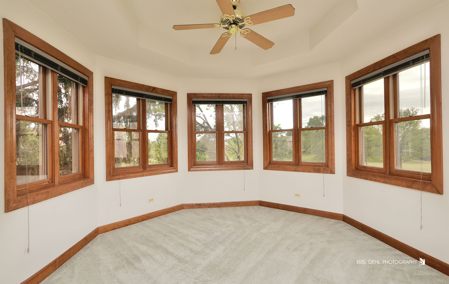 1127 Courtland Place Aurora IL 60502
