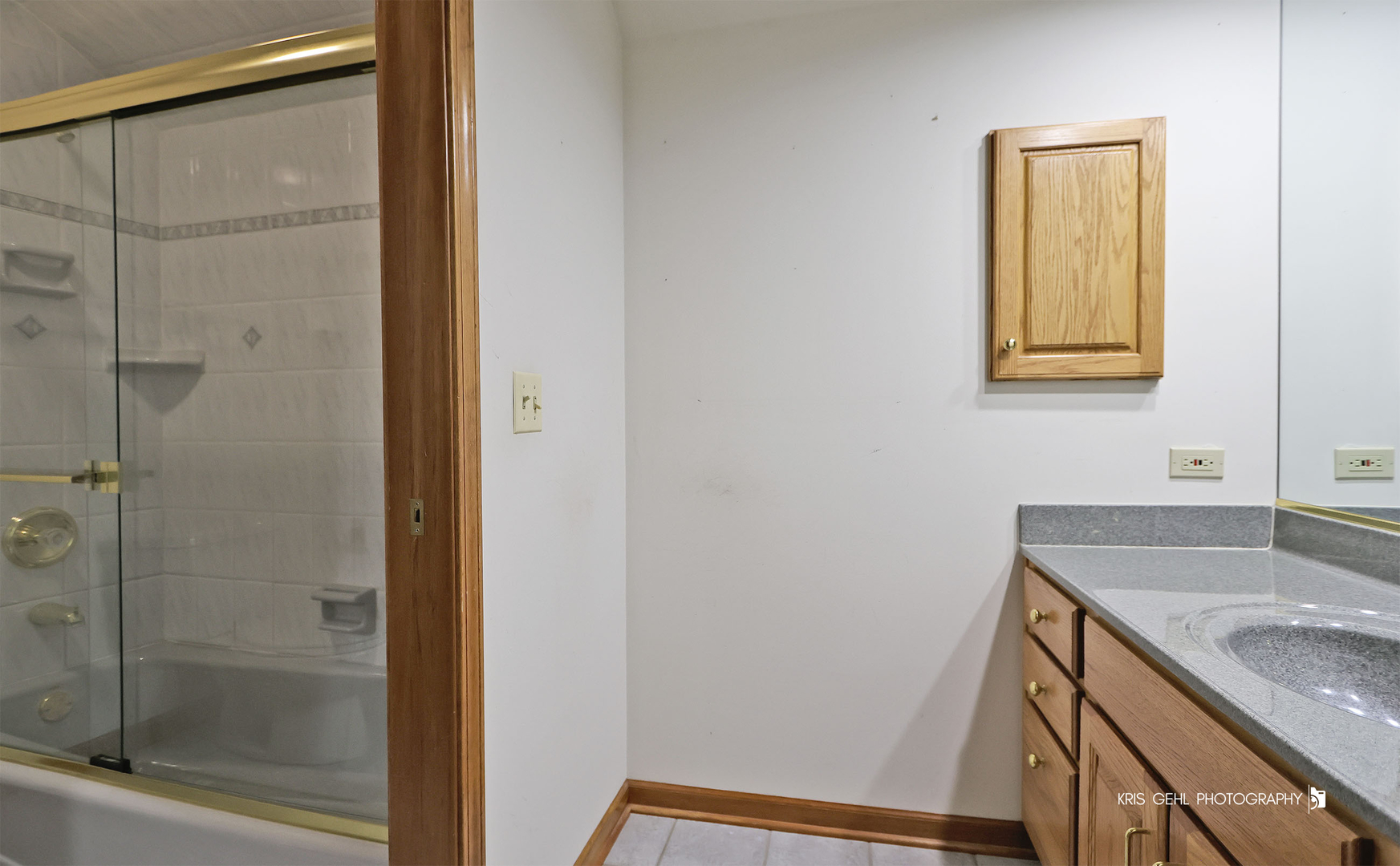 1127 Courtland Place Aurora IL 60502