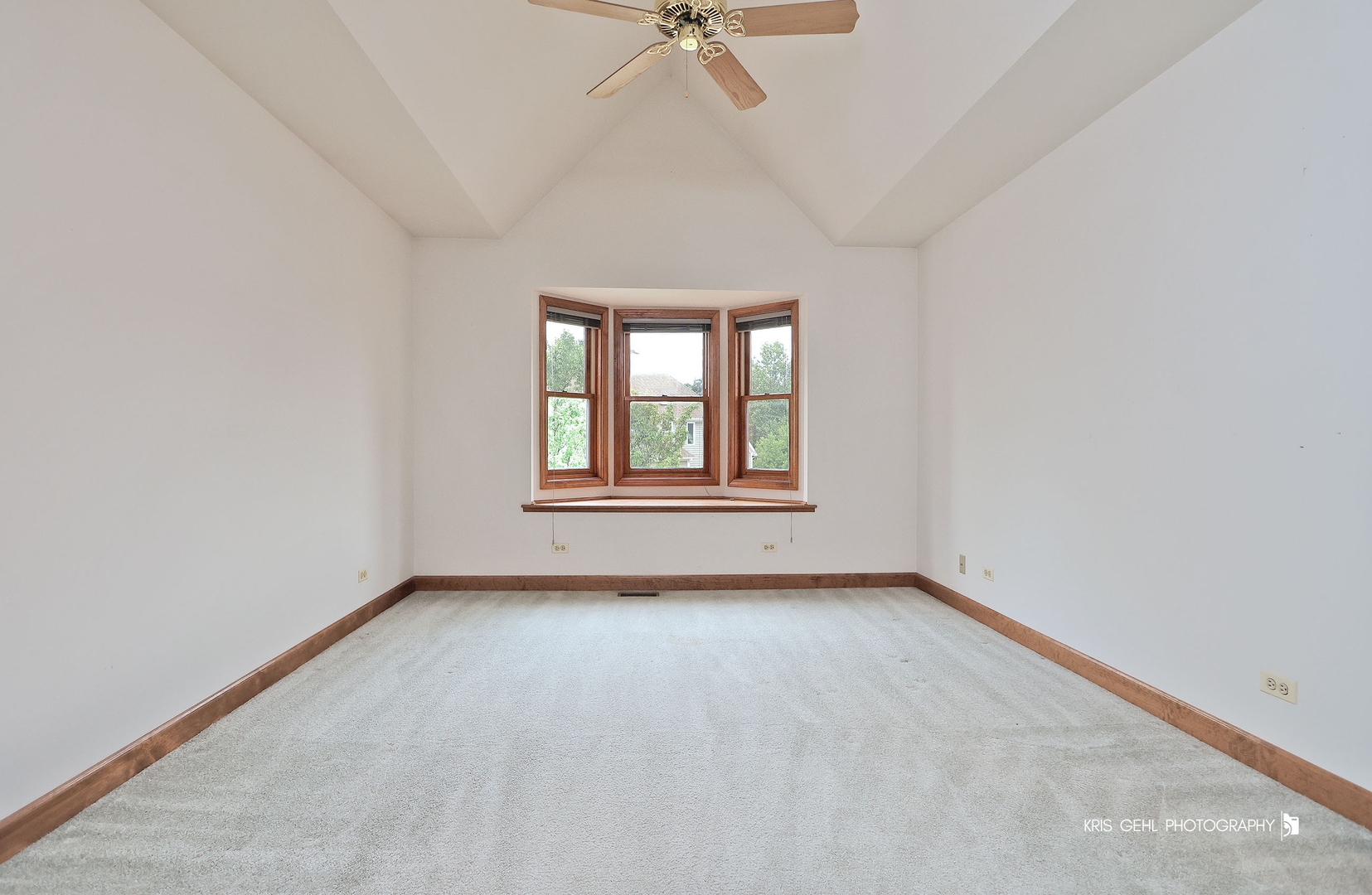 1127 Courtland Place Aurora IL 60502