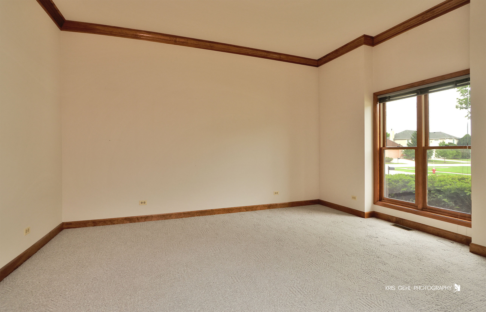 1127 Courtland Place Aurora IL 60502