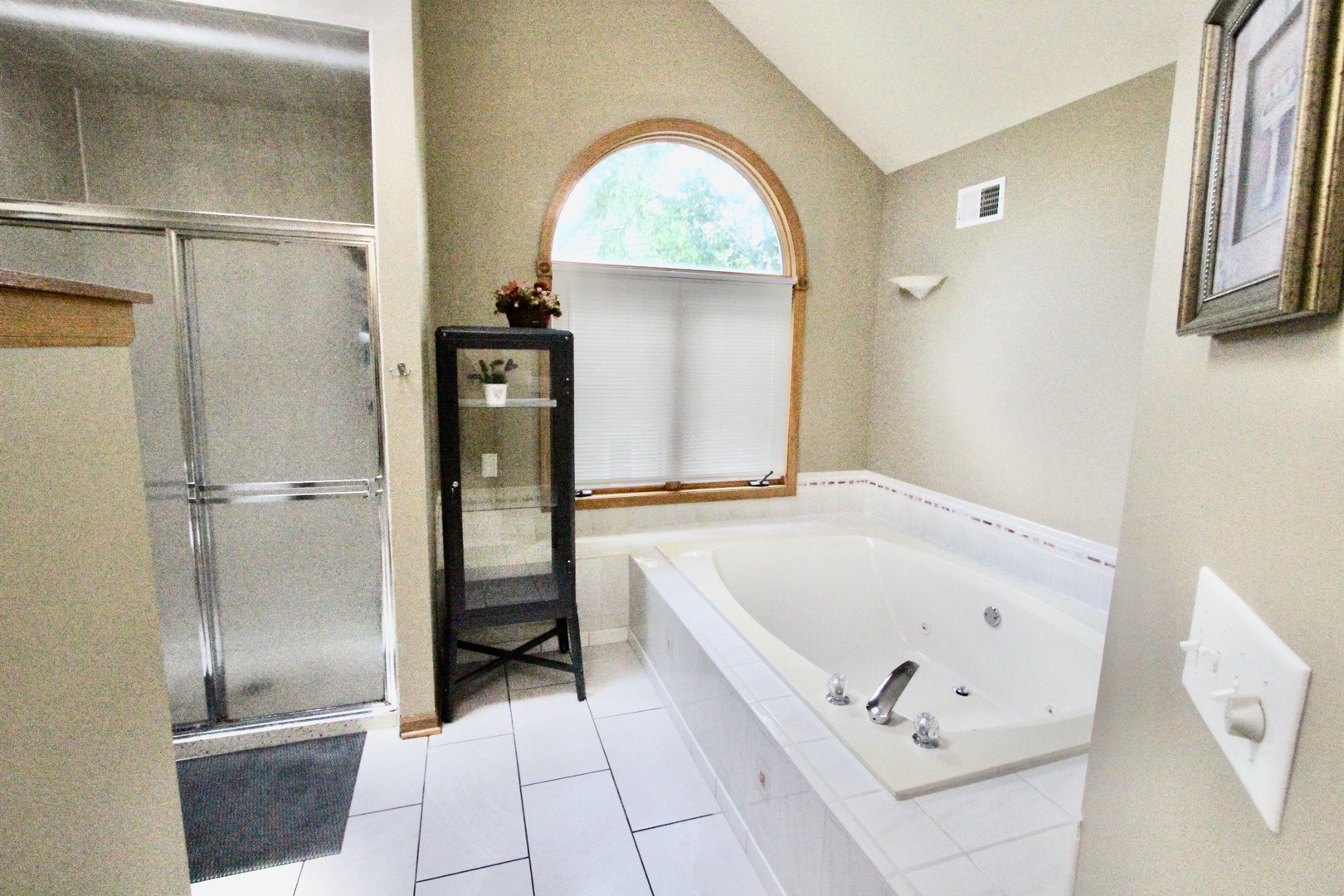 6 Allegheny Court Bolingbrook IL 60440