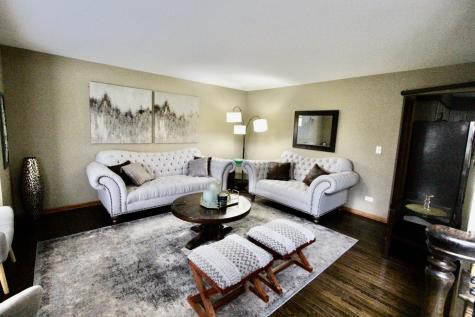 6 Allegheny Court Bolingbrook IL 60440