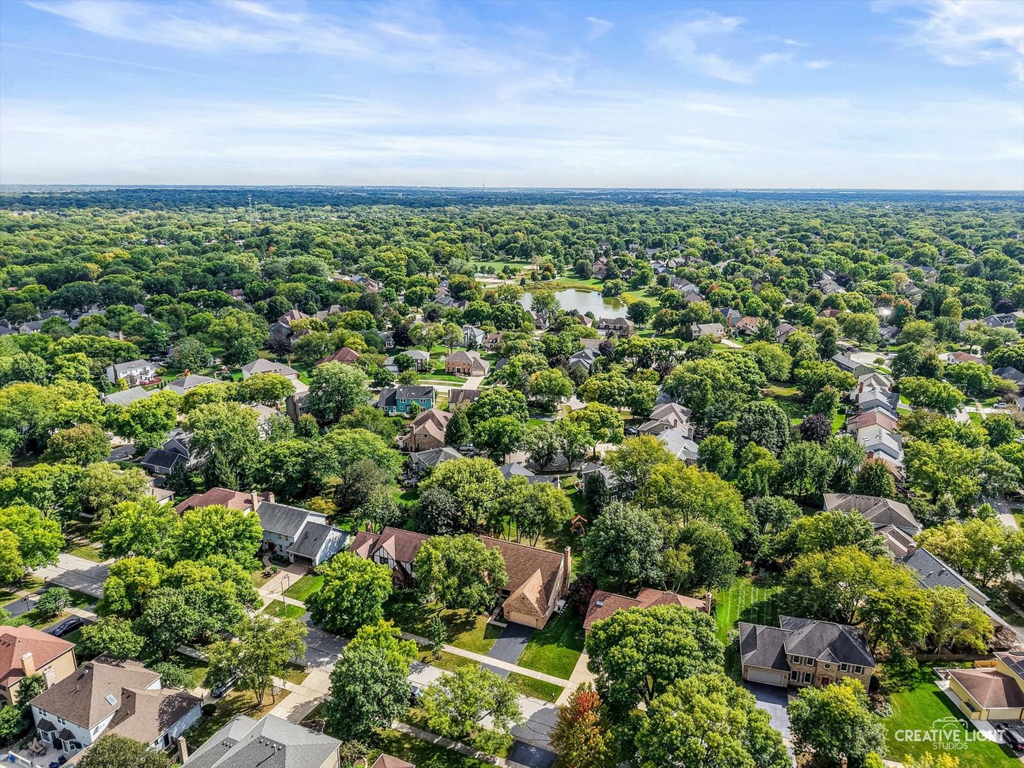 292 Winding Creek Drive Naperville IL 60565