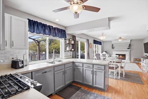 207 Briar Ridge Lane Lake Villa IL 60046