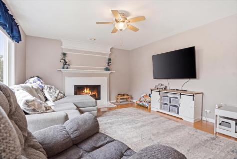207 Briar Ridge Lane Lake Villa IL 60046