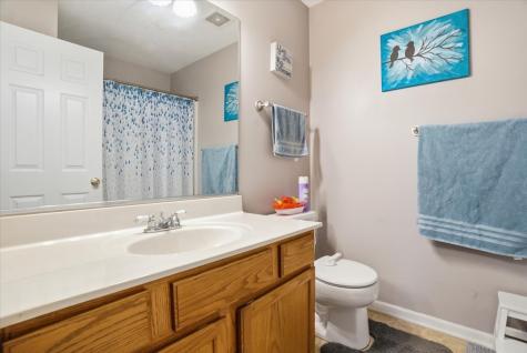 207 Briar Ridge Lane Lake Villa IL 60046