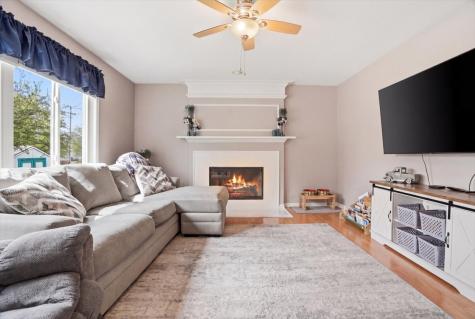 207 Briar Ridge Lane Lake Villa IL 60046