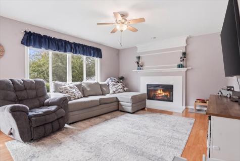 207 Briar Ridge Lane Lake Villa IL 60046